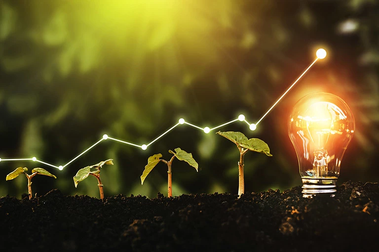 Doradztwo energetyczne - o firmie